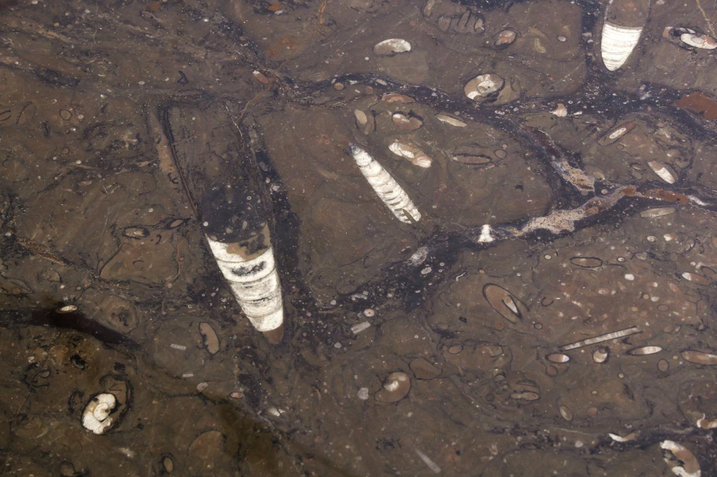 scandinavian teak & marble coffee table