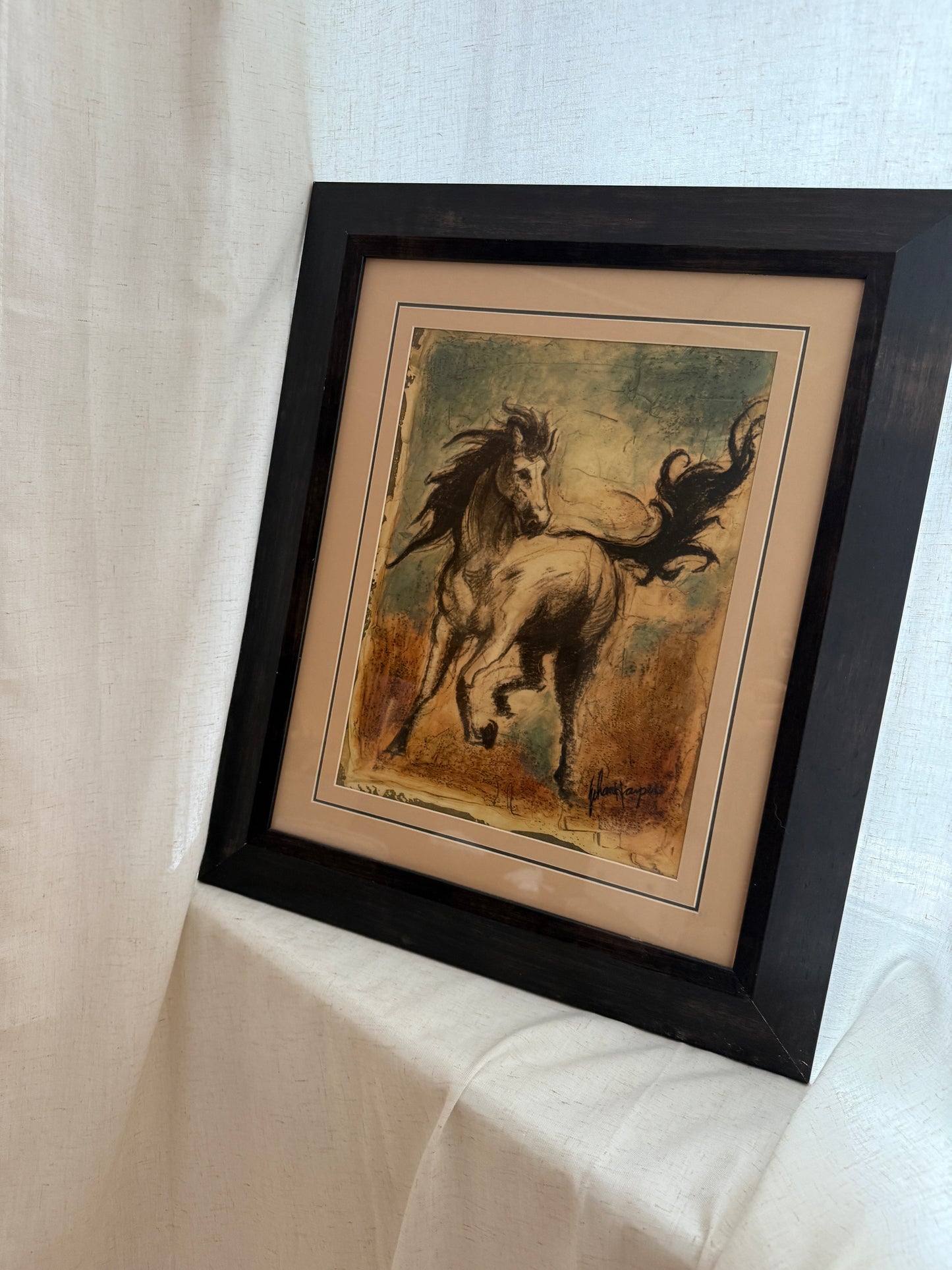 johann kappel equine study, mid-20th century