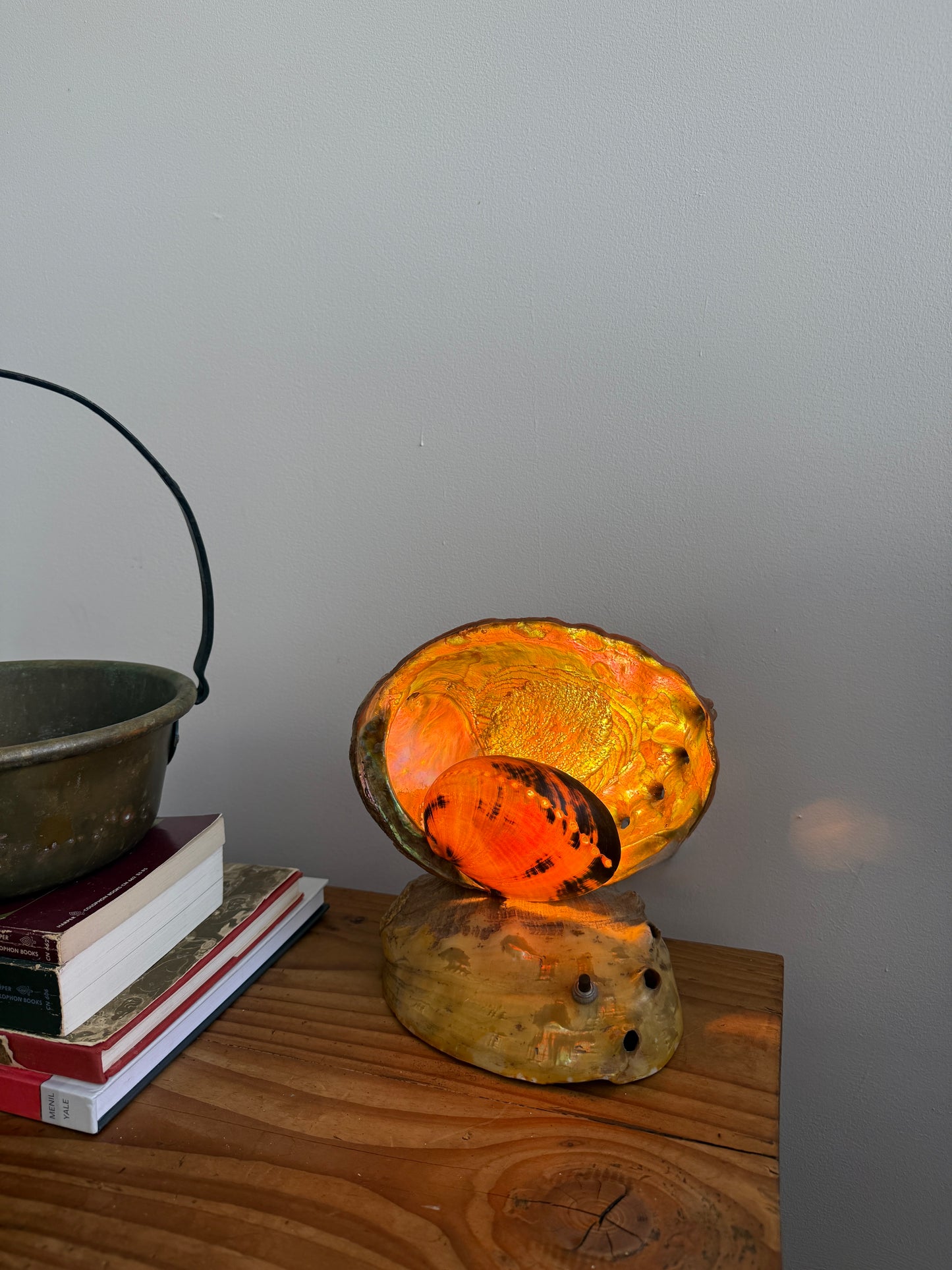 vintage abalone shell lamp
