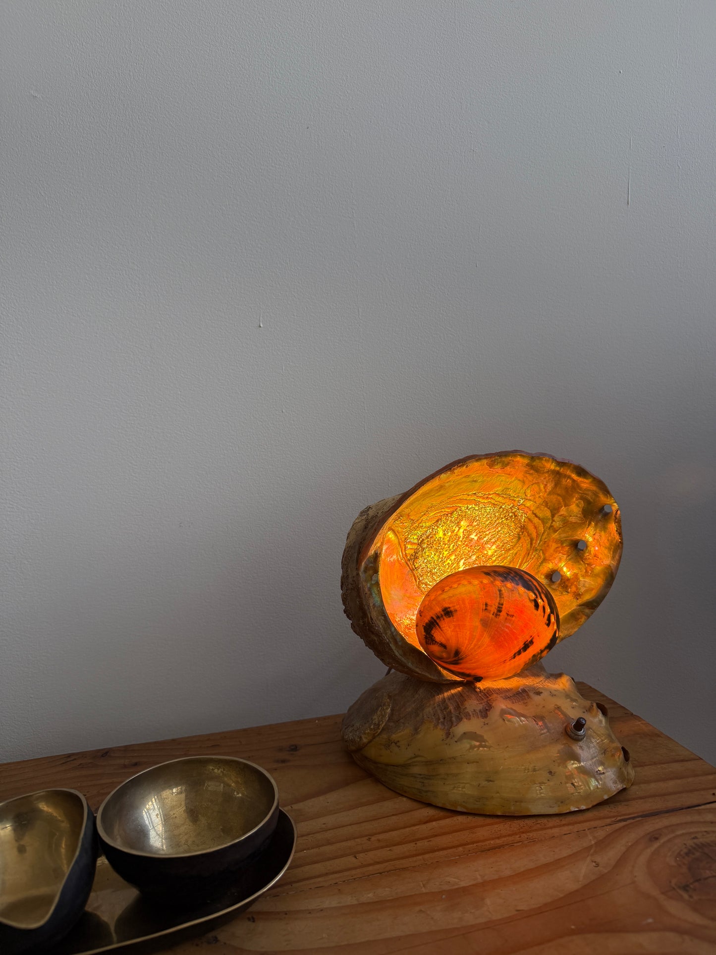 vintage abalone shell lamp