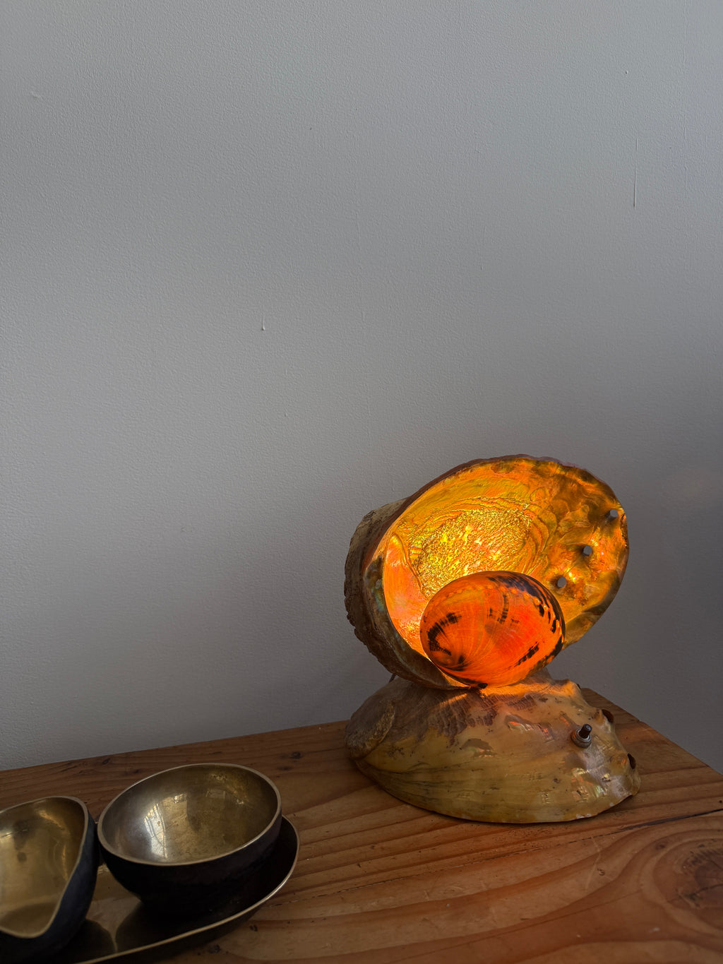 vintage abalone shell lamp